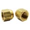 Thrifco Plumbing No. 40 5/16 Inch Brass Flare Cap 2/Pack 4401302 - alternate 1